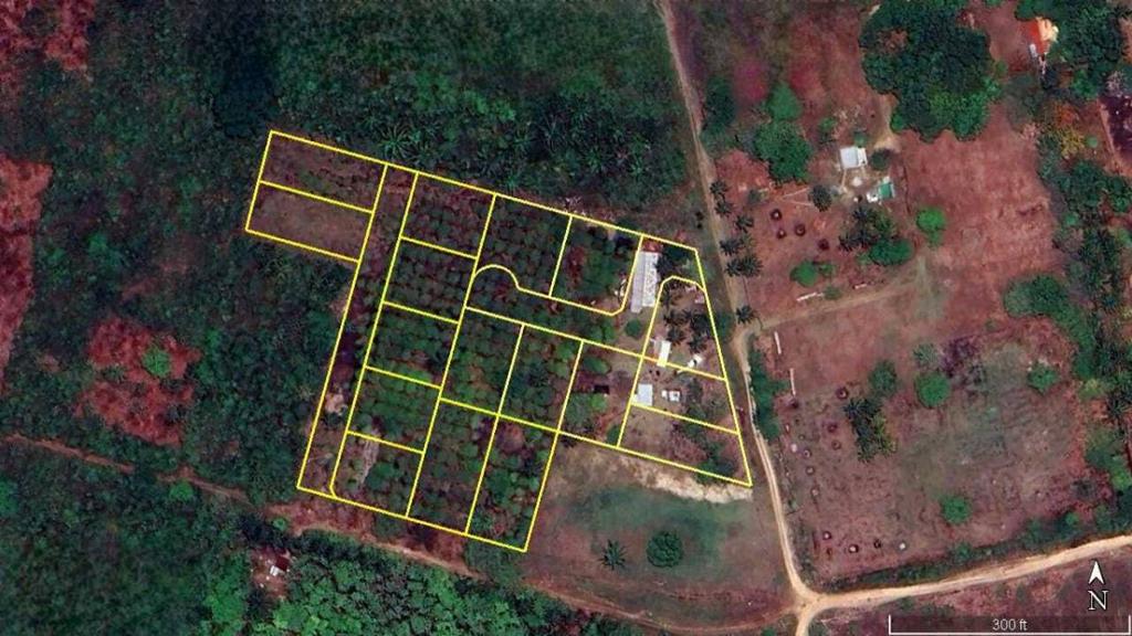 listing image with ID 73448