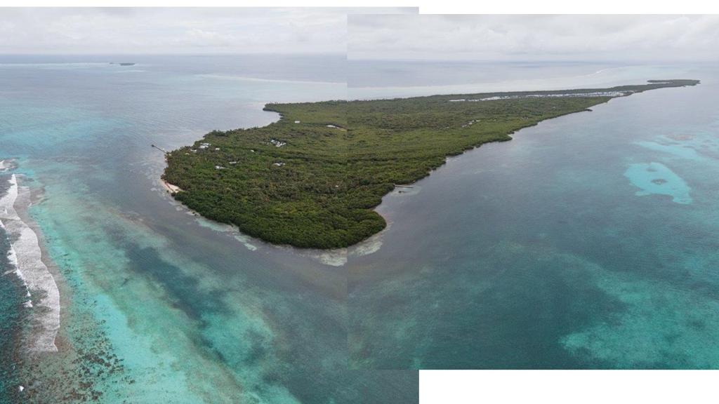 listing image with ID 73317