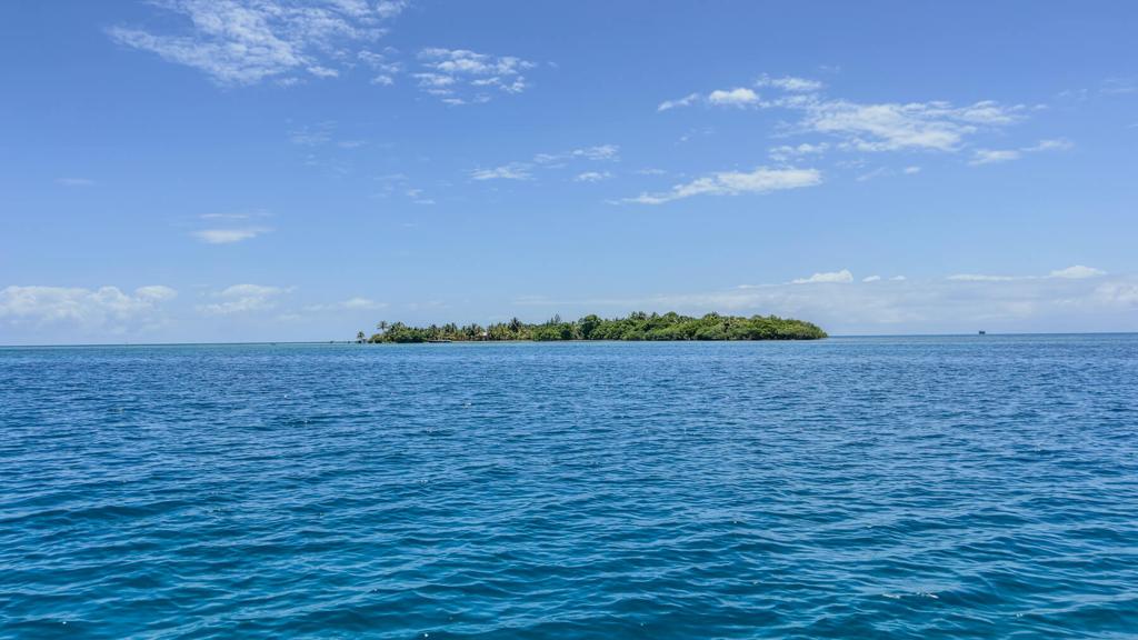 listing image with ID 73650