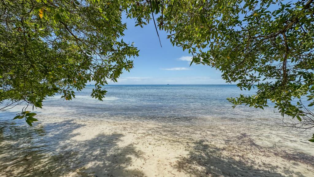 listing image with ID 73656