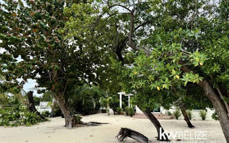 listing image with ID 73182