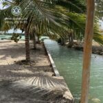 listing image thumbnail with ID 73988