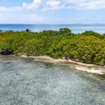 listing image thumbnail with ID 73642