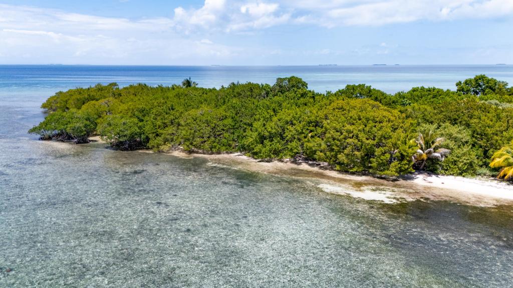 listing image with ID 73642