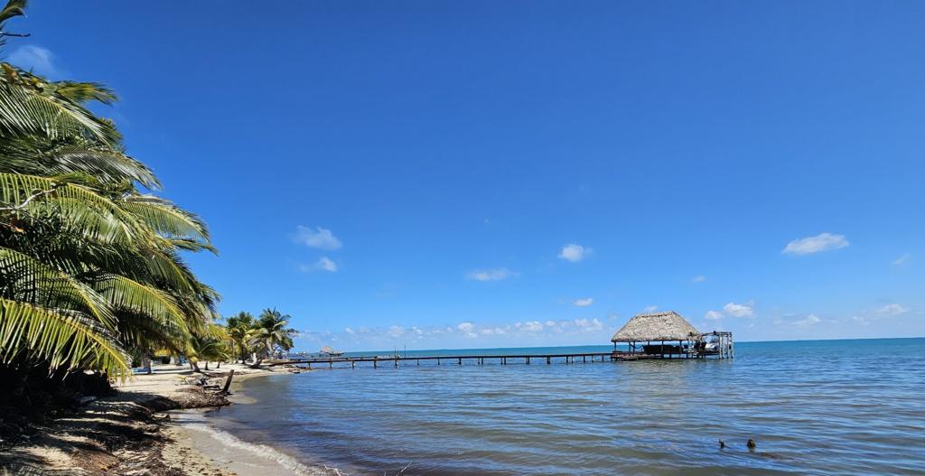 listing image with ID 73571