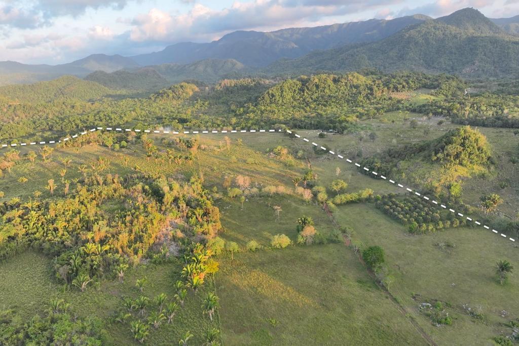 listing image with ID 73822