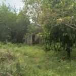 listing image thumbnail with ID 73341