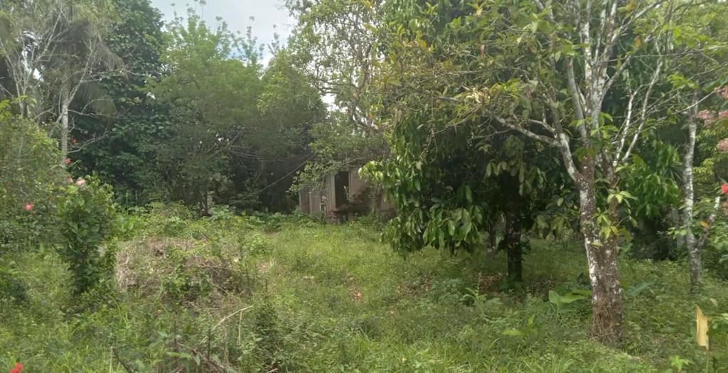 listing image with ID 73341