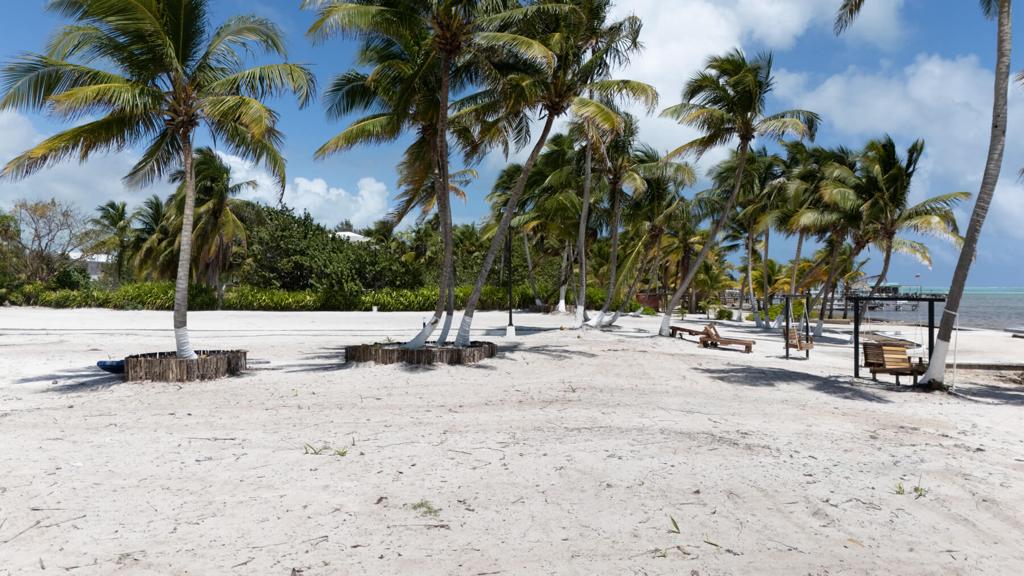 listing image with ID 73671