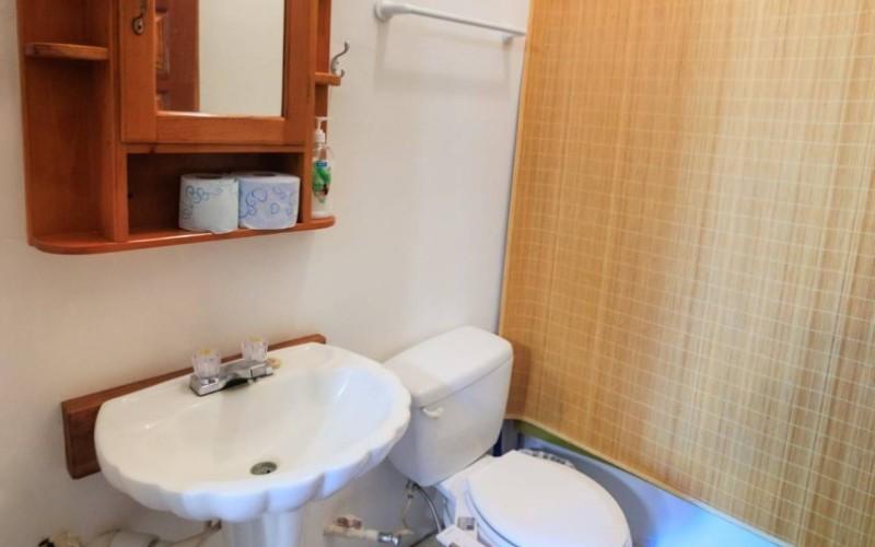 listing image with ID 73900