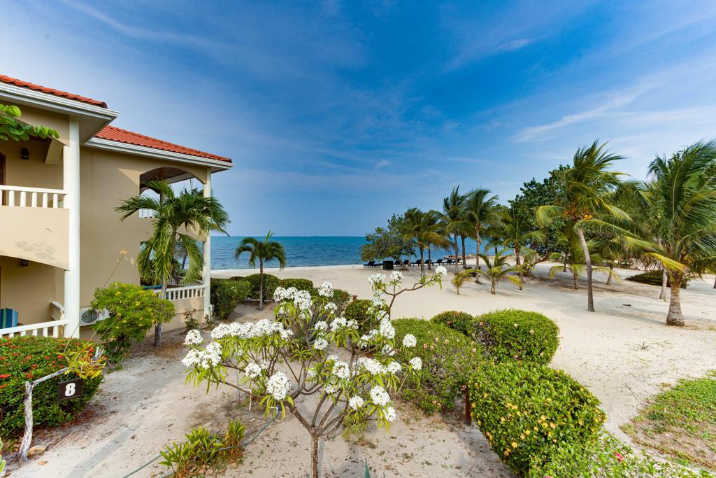 listing image with ID 73502