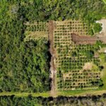 listing image thumbnail with ID 73450