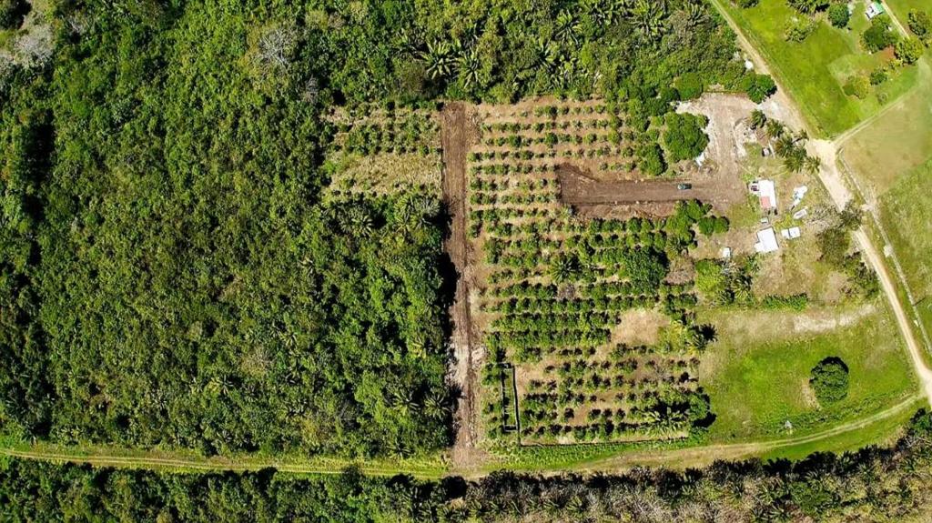 listing image with ID 73450