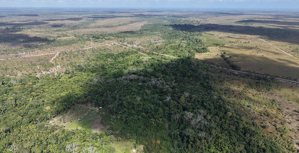 listing image with ID 74188