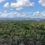 listing image thumbnail with ID 74069