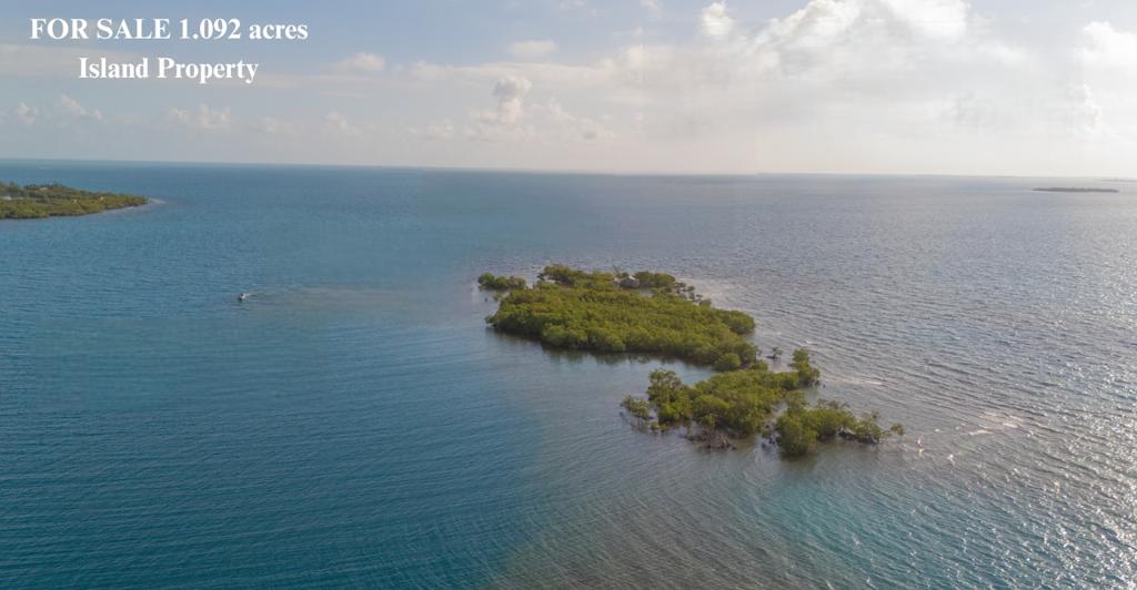 listing image with ID 74046