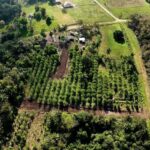 listing image thumbnail with ID 73458