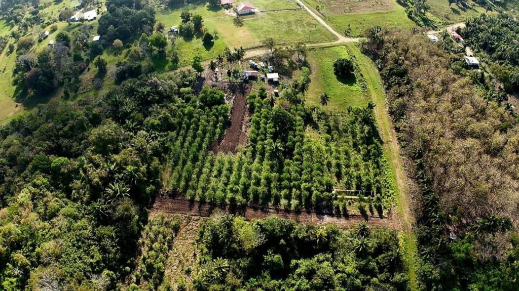 listing image with ID 73458