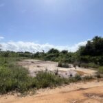 listing image thumbnail with ID 73717