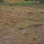 listing image thumbnail with ID 73689