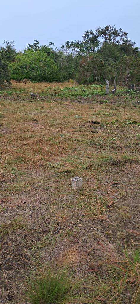 listing image with ID 73689