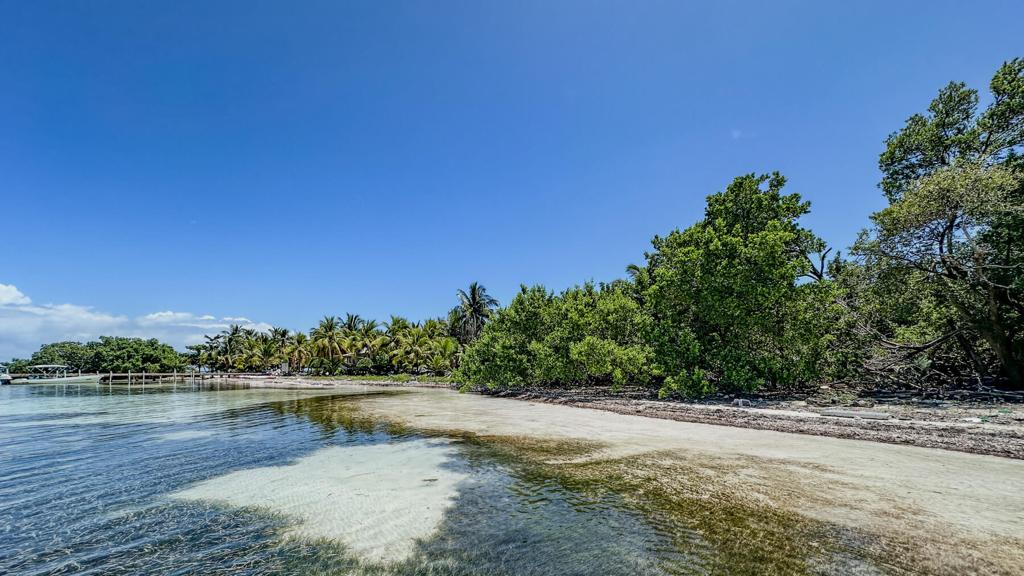 listing image with ID 73654