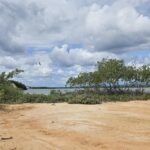 listing image thumbnail with ID 73706