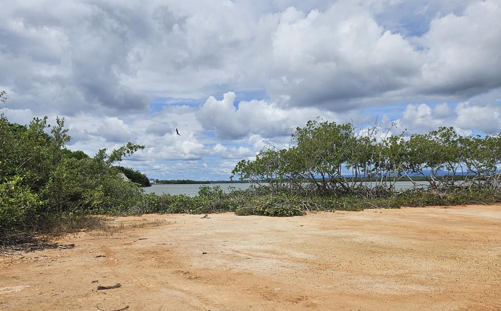 listing image with ID 73706