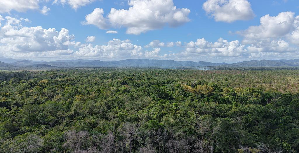 listing image with ID 74068