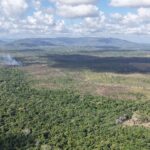 listing image thumbnail with ID 74185