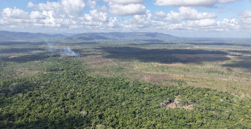 listing image with ID 74185