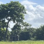 listing image thumbnail with ID 73684