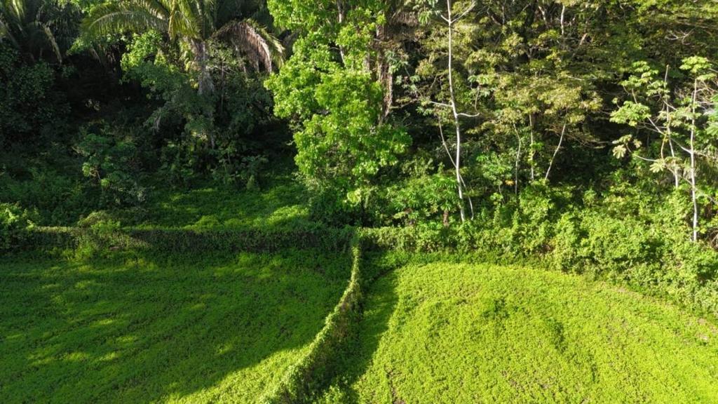 listing image with ID 72967