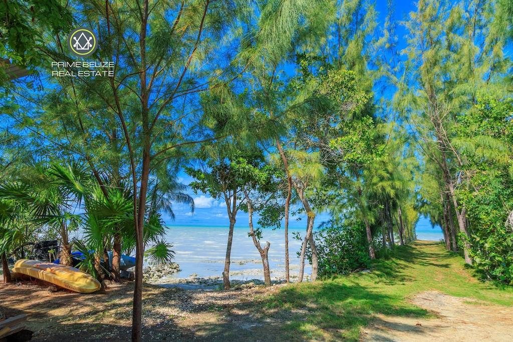 listing image with ID 73370