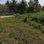 listing image thumbnail with ID 73544