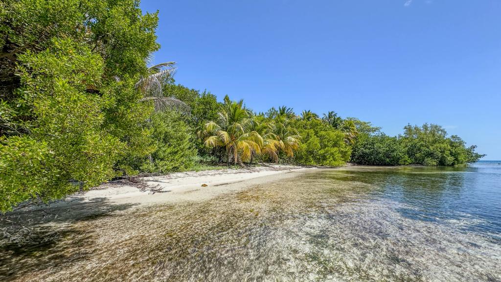 listing image with ID 73658