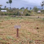 listing image thumbnail with ID 73690