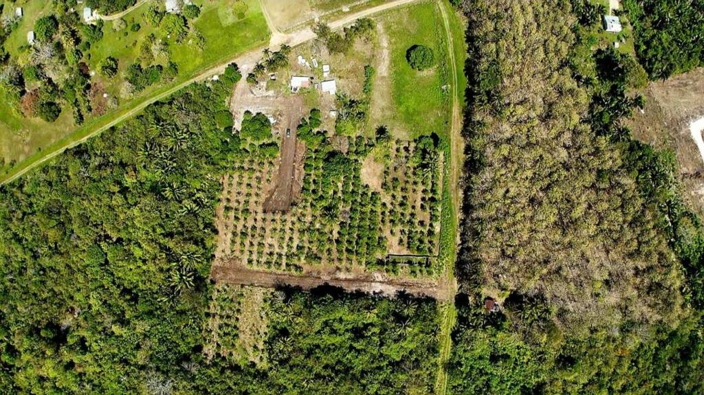 listing image with ID 73462