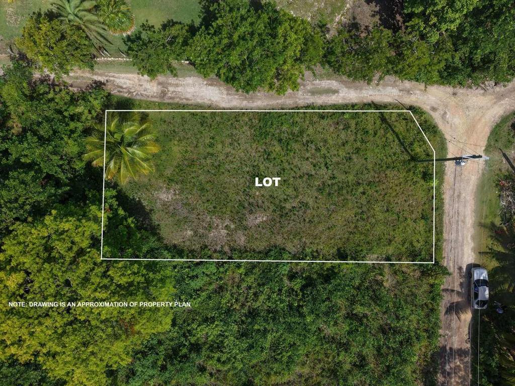 listing image with ID 73540