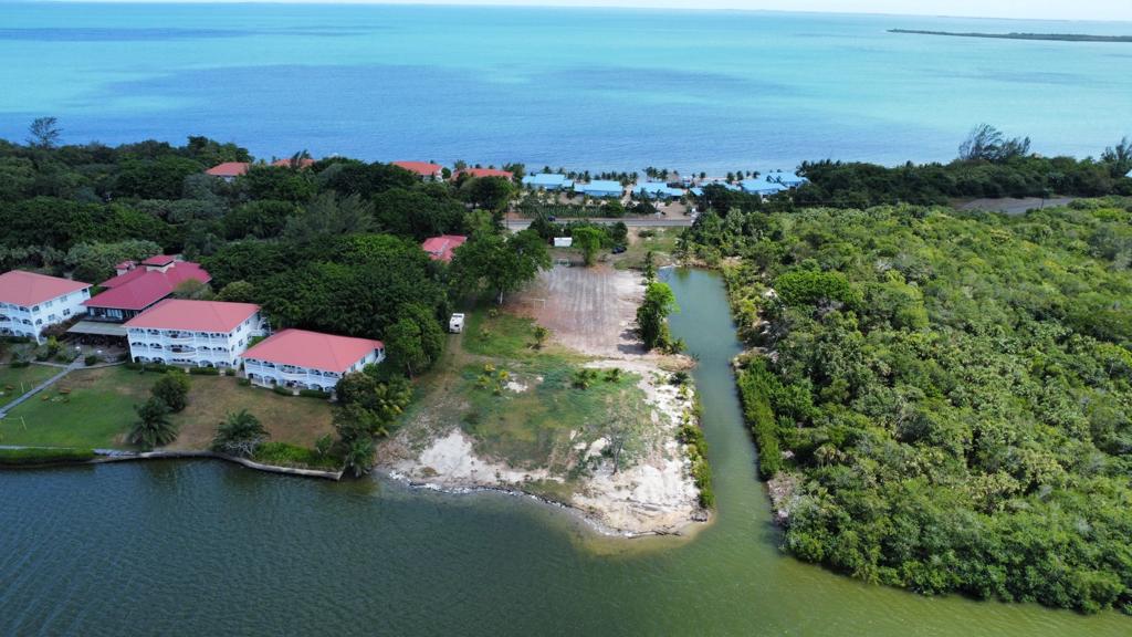 listing image with ID 72836