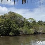 listing image thumbnail with ID 73626