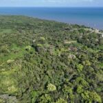 listing image thumbnail with ID 72985