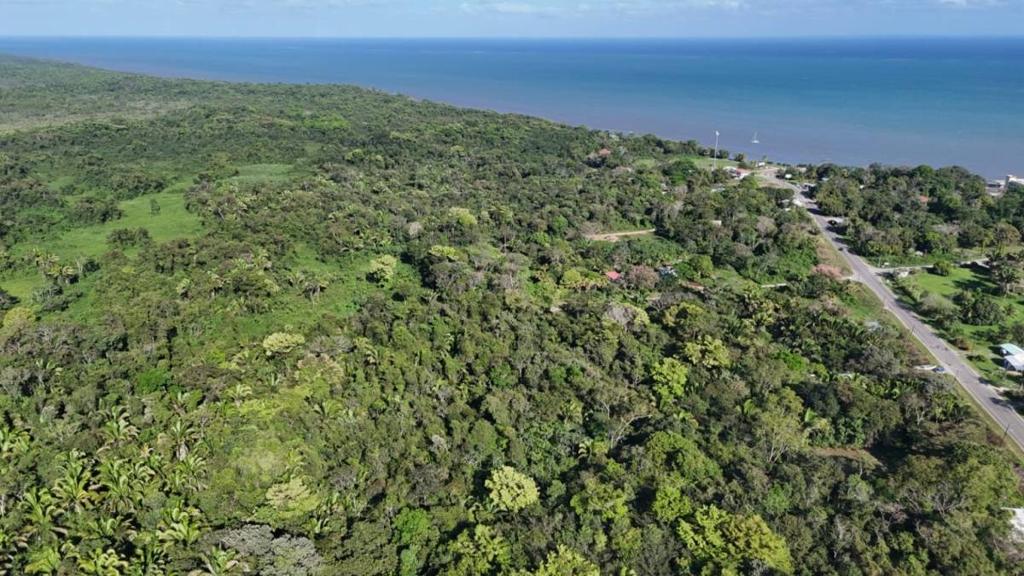 listing image with ID 72985