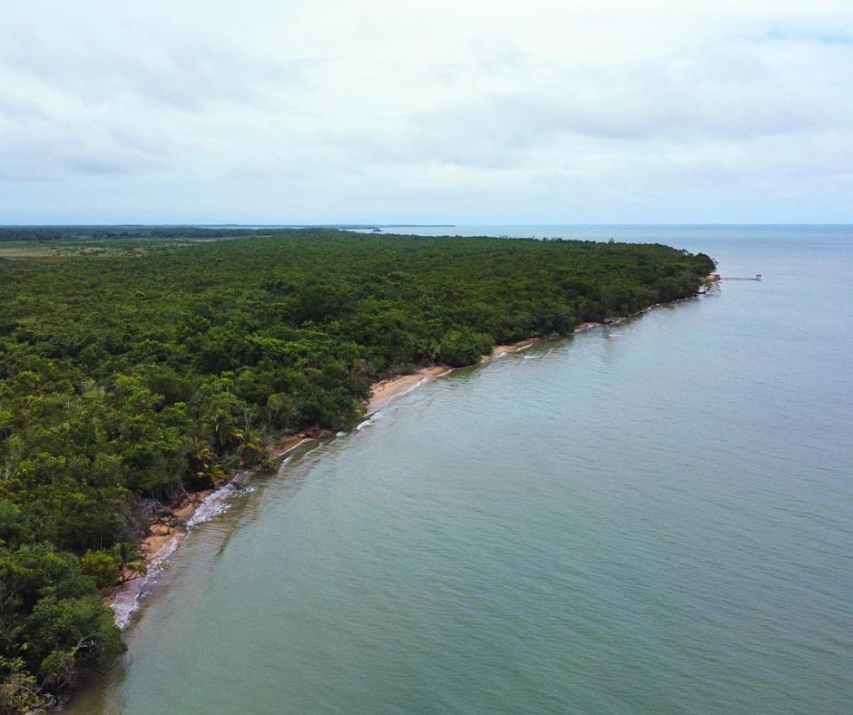 listing image with ID 72841