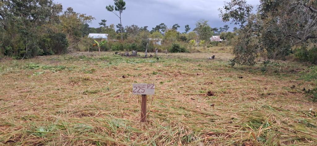 listing image with ID 73686