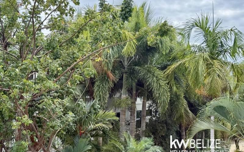 listing image with ID 73171