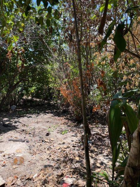 listing image with ID 73028