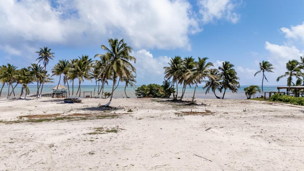 listing image with ID 73678