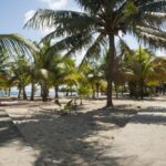 listing image thumbnail with ID 73326