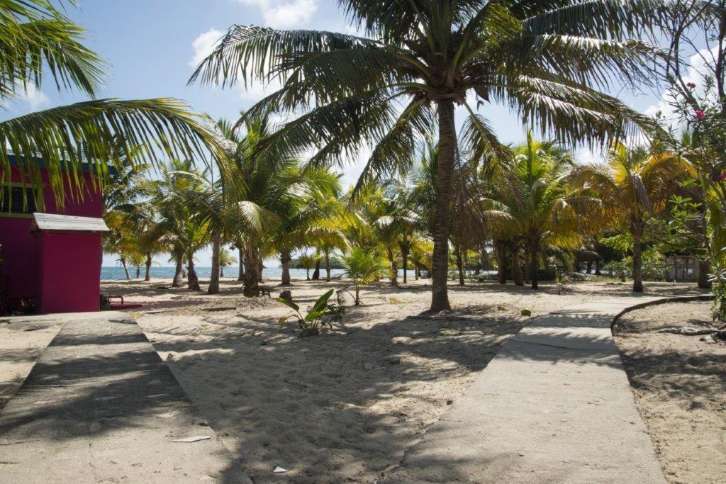 listing image with ID 73326